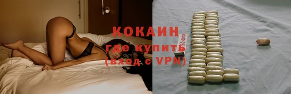 spice Краснослободск