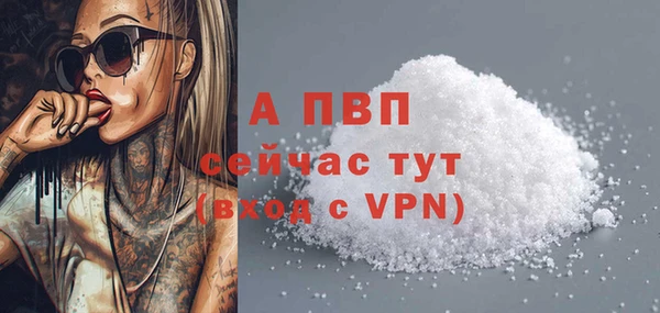 spice Краснослободск